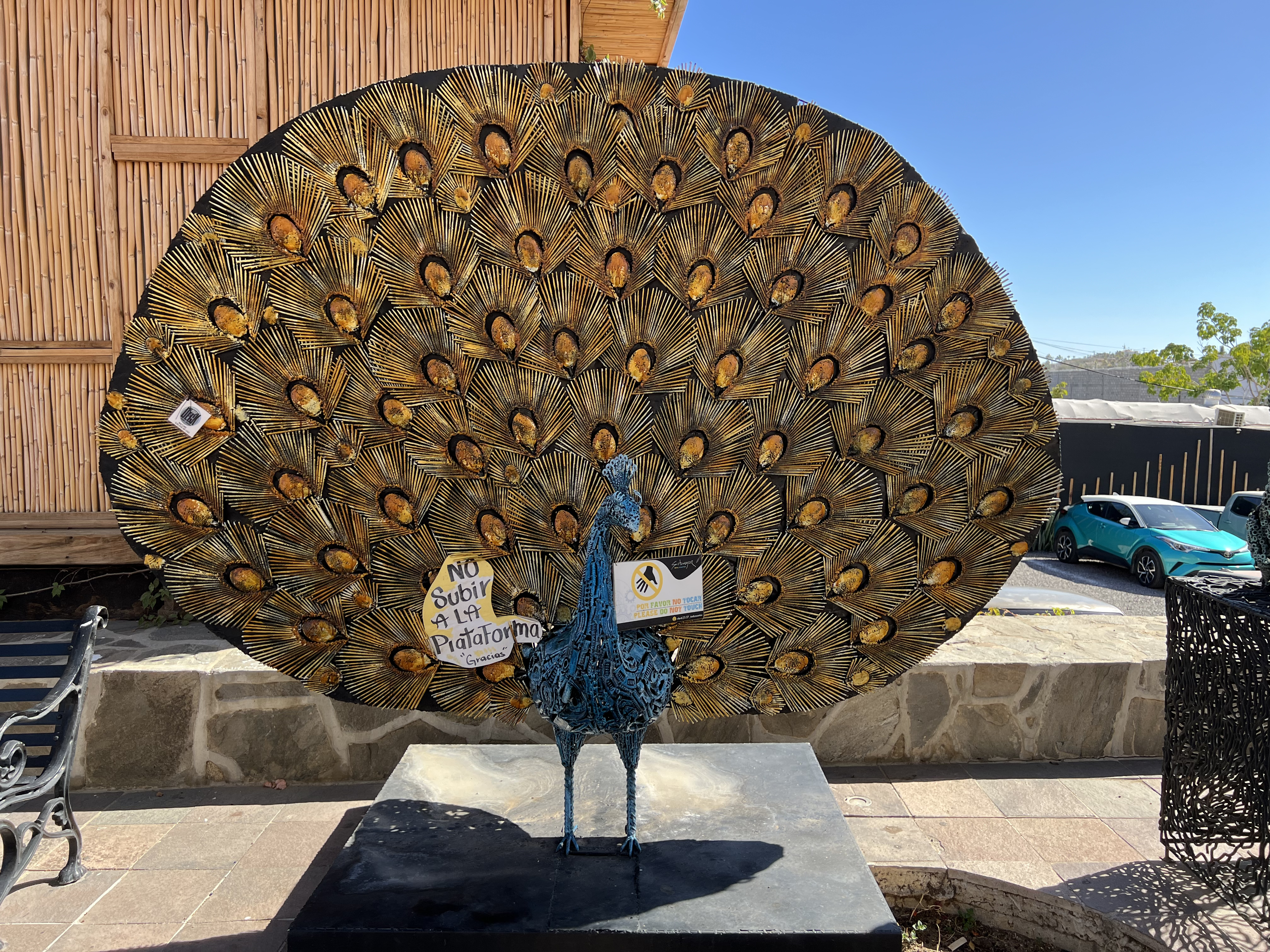 ./2024/13 - Cabo/IMG_4258.jpg